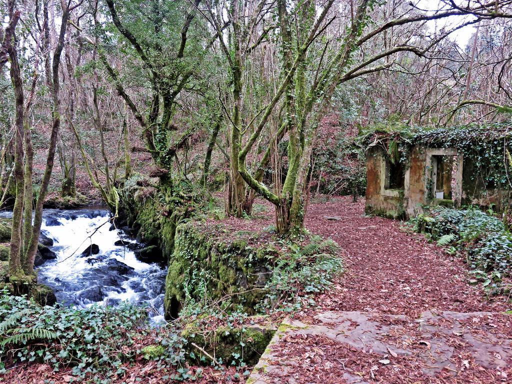 Casa Rural A Pasada Guest House Cedeira Eksteriør bilde